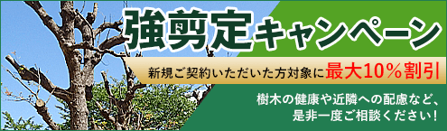 強剪定キャンペーン-新規ご契約いただいた方対象に最大10%割引