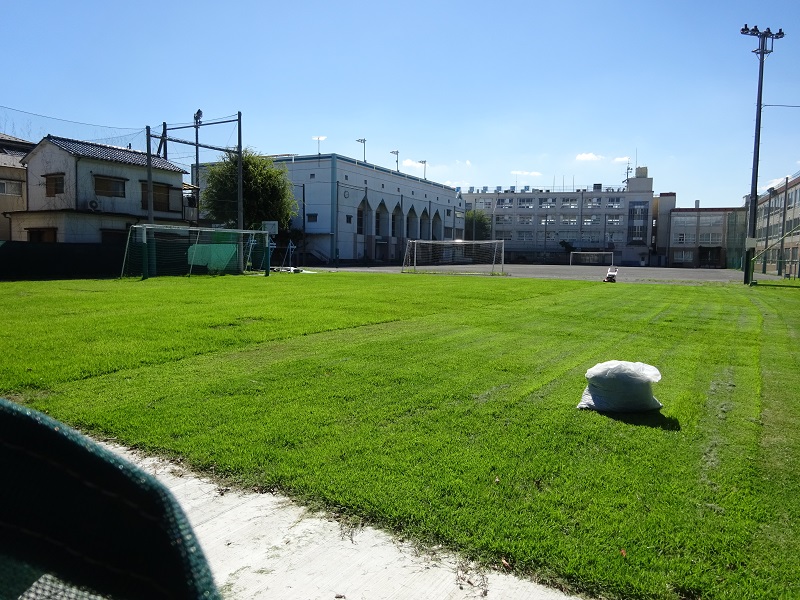 青葉中学校校庭一部芝生化工事の写真