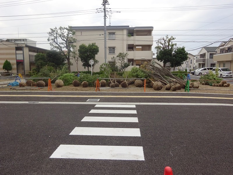 都営住宅の植栽工事スタート