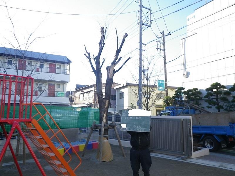 タネも仕掛けもある魔法