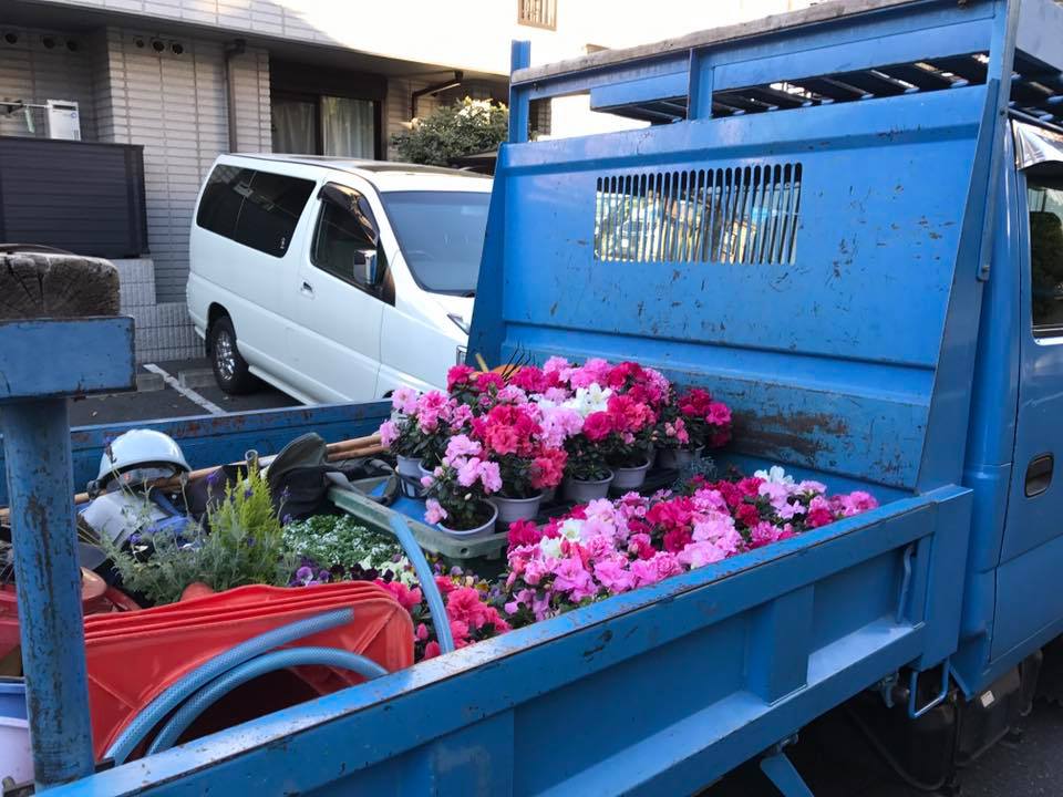 草花の植替