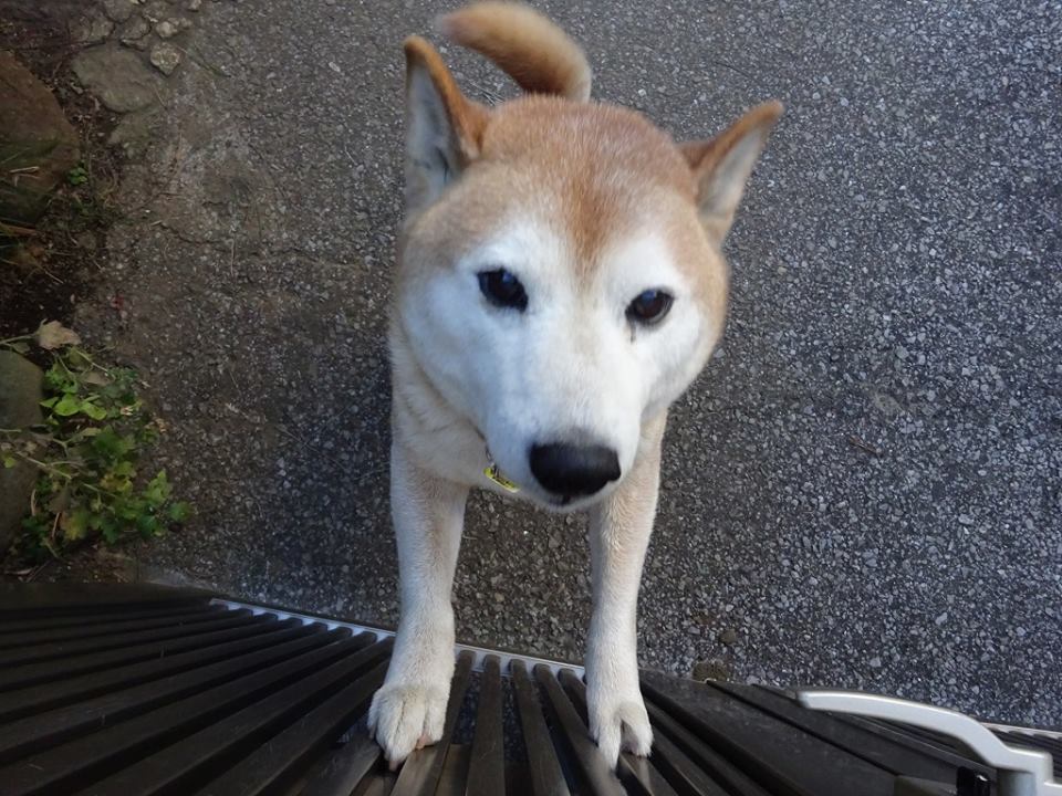 自宅警備員　勤務状況