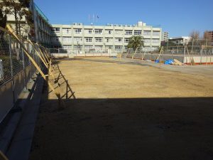 葛飾区内の小学校（2校）芝生化工事中