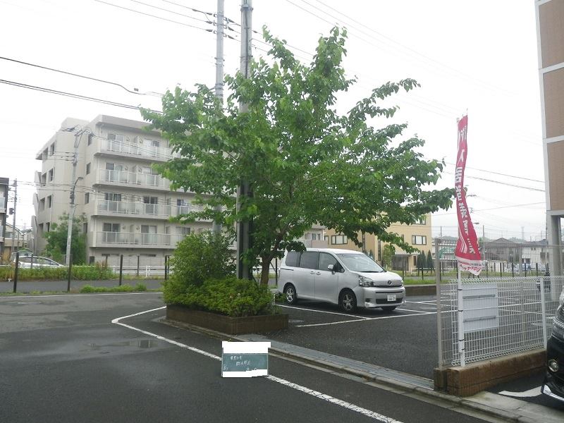 中央大学 東豊田寮の樹木の手入 施行の様子を写真でご紹介