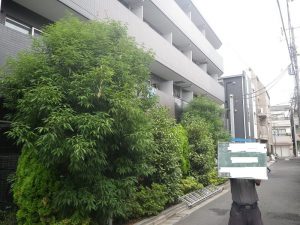 マンション緑地管理編と寺院のお手入