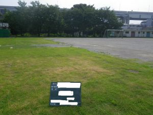 葛飾区の小学校校庭芝生化工事　養生期間終了