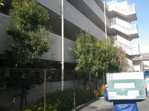 マンション緑地管理…樹木剪定、生垣の刈込、除草作業 編