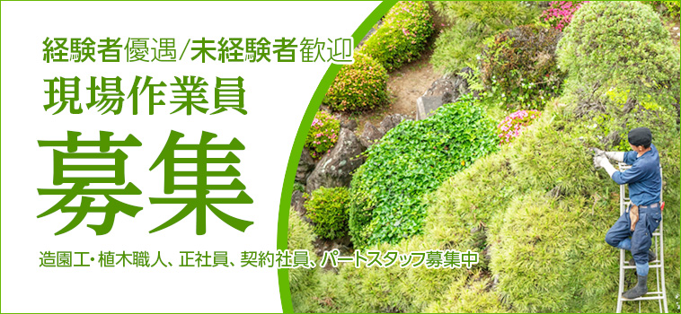造園工・植木職人 スタッフ募集中です