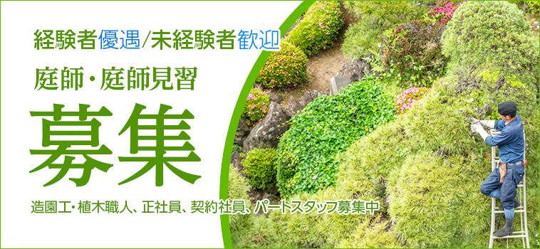 東京勤務 庭師 造園工 植木職人 採用情報 造園 庭 植木の事なら株式会社小林造園