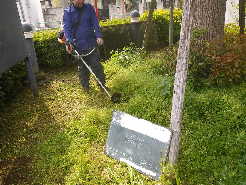 雑草繁茂の季節が始まりました。