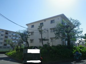 剪定作業後
