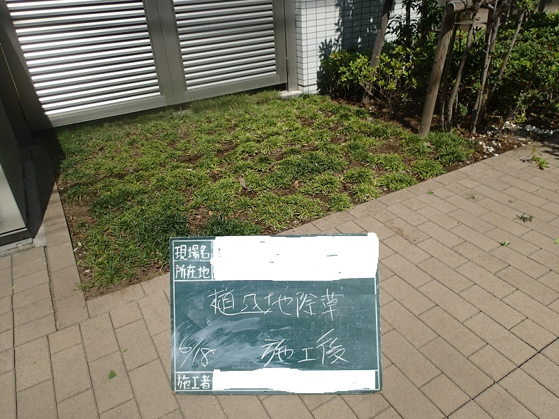 マンションの雑草対策 真砂土舗装の応用 野良猫対策 東京 葛飾区 都内近郊の造園 庭 植木 小林造園 マンションの雑草対策 真砂土舗装の応用 野良猫対策 東京 葛飾区 都内近郊の造園 庭 植木 小林造園