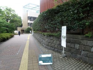 サザンカ生垣の手入れ、5月の施工事例