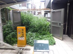 僅か8ヶ月でΣ(ﾟДﾟ)･･････