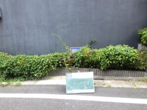ドクダミの下には･･････。