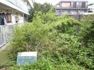 18年振りの御依頼です。