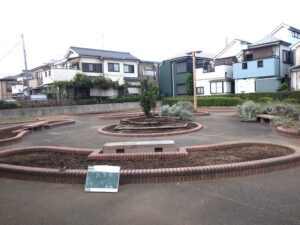 花壇用地に繁茂した雑草を除去しました。