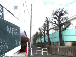 都立高2026その２