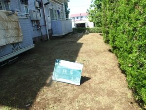 やっぱり雑草も元気です･･･(TT)