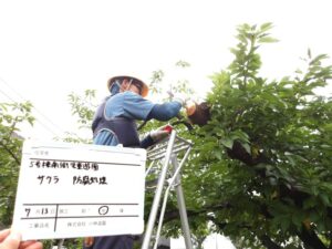 東京都住宅供給公社のお仕事を始めました