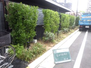 放任した枝葉のリセット