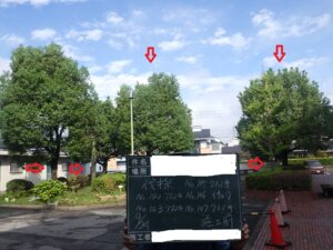 小学校の樹木伐採